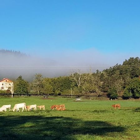Le Riolet Bed and Breakfast Marsac-en-Livradois Exteriör bild
