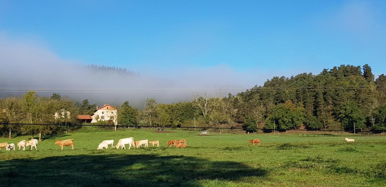 Le Riolet Bed and Breakfast Marsac-en-Livradois Exteriör bild